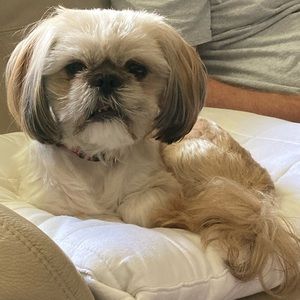 Meet your Posher, Janet